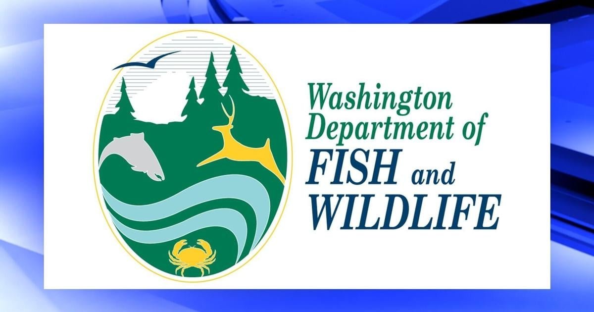 Fish and Wildlife facing over $200k in fines after employee death, injury on waterways